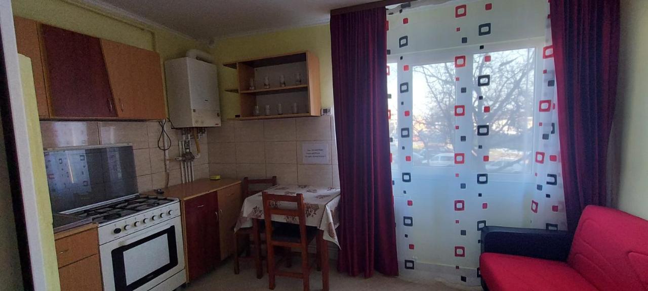 Flora Apartament Apartment Satu Mare Ngoại thất bức ảnh