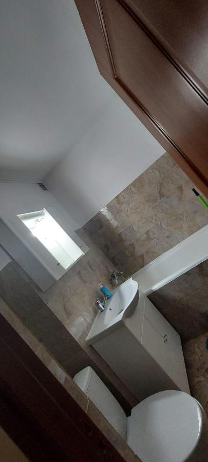 Flora Apartament Apartment Satu Mare Ngoại thất bức ảnh
