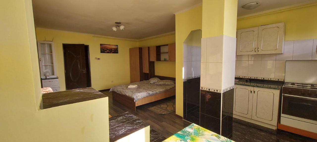 Flora Apartament Apartment Satu Mare Ngoại thất bức ảnh
