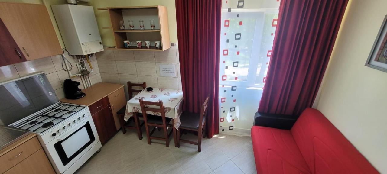 Flora Apartament Apartment Satu Mare Ngoại thất bức ảnh