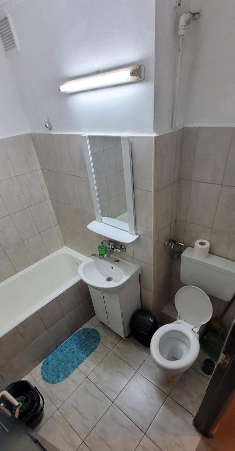 Flora Apartament Apartment Satu Mare Ngoại thất bức ảnh